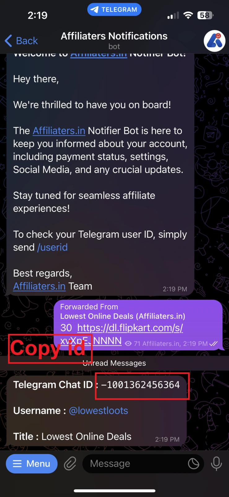 Bot reply with the chat ID