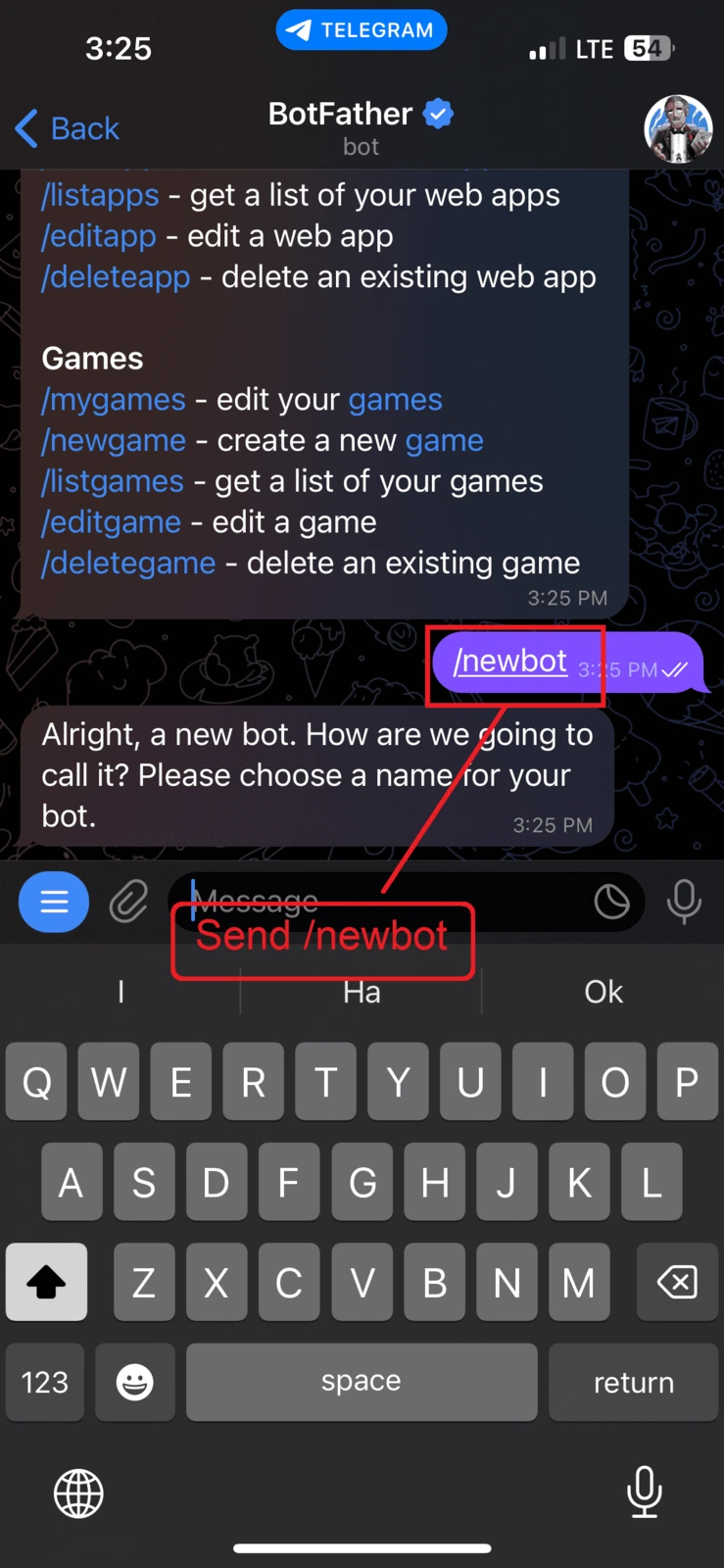 Sending /newbot to BotFather