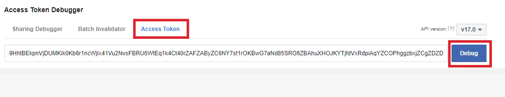 Access token pasted in the debugger